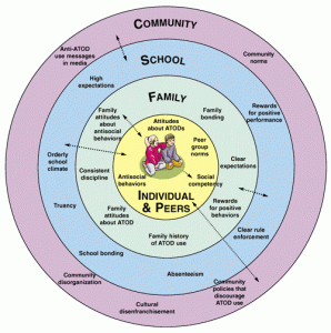 Una serie de círculos concéntricos muestra la relación entre cada red, con el niño en el centro más cercano a su familia, el microsistema, y removido de la comunidad, el macrosistema.