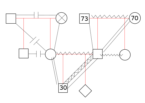 A series of shapes and lines connect to make a complex genogram.