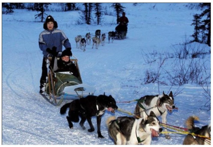 Photograph of a dogs pulling a dogsled with people on it.