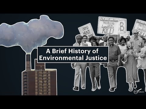 Thumbnail for the embedded element "A Brief History of Environmental Justice"