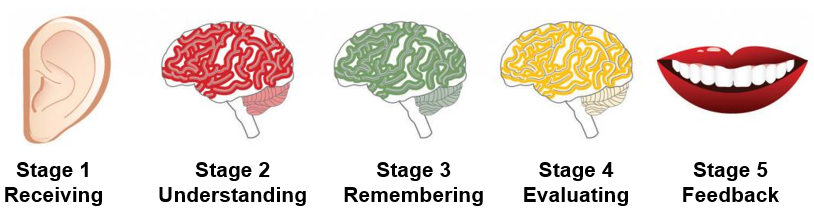 Stages of Listening: Stage 1 Receiving. Stage 2 Understanding. Stage 3 Remembering. Stage 4 Evaluating. Stage 5 Feedback