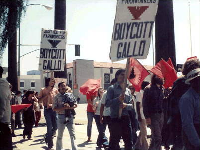 L'une des marches pour les droits de San Jose Chicano en Californie.