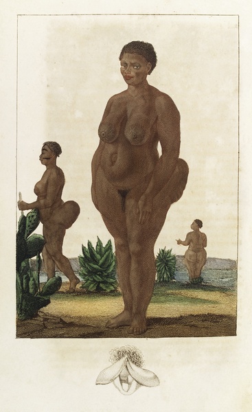 Une peinture représentant une femme Hottentot atteinte de stéatopygie