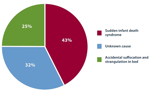The breakdown of sudden unexpected infant deaths by cause in 2015 is as follows: 43% of cases were categorized as sudden infant death syndrome, followed by unknown cause (32%), and accidental suffocation and strangulation in bed (25%).