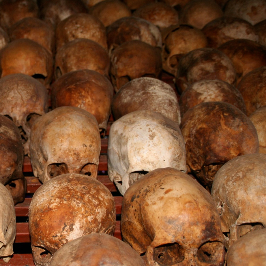 rows of skulls on display