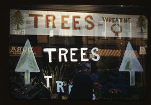 The Word 'Trees'