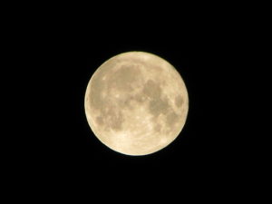 Photograph of a full moon