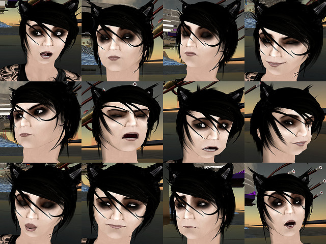 Image of twelve different facial expressions