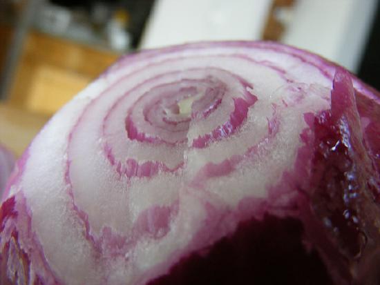 An onion showing its layers.