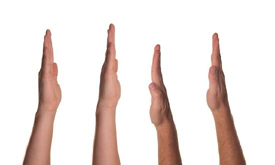 Four hands raised in the air to vote. Decorative image
