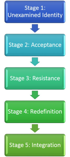 Flow Chart. From the top leading down: Stage 1: Unexamined Identity; Stage 2: Acceptance; Stage 3: Resistance; Stage 4: Redefinition; Stage 5: Integration.