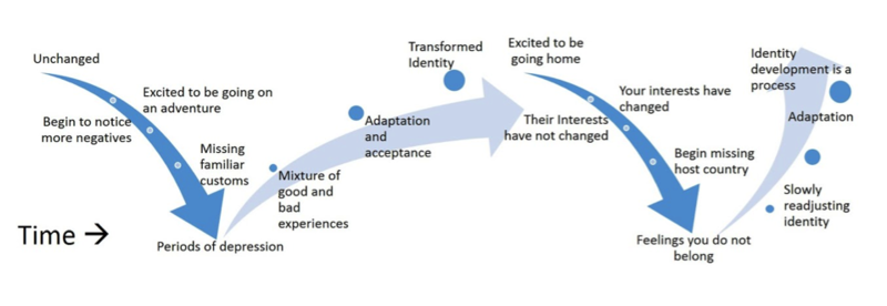 Diagram showing several directional arrows. Time moves from left to right. From left, a down-right arrow is labeled Unchanged, Excited to be going on an adventure, Begin to notice more negatives, Missing familiar customs, and Periods of depression. A rising right-facing arrow is labeled Mixture of good and bad experiences, Adaptation and acceptance, and Transformed identity. A down-right arrow is next, labeled Excited to be going home, Their interests have not changed, Your interests have changed, Begin missing host country, and Feelings you do not belong. A final rising right arrow is labeled, Slowly readjusting identity, Adaptation, and Identity development is a process.