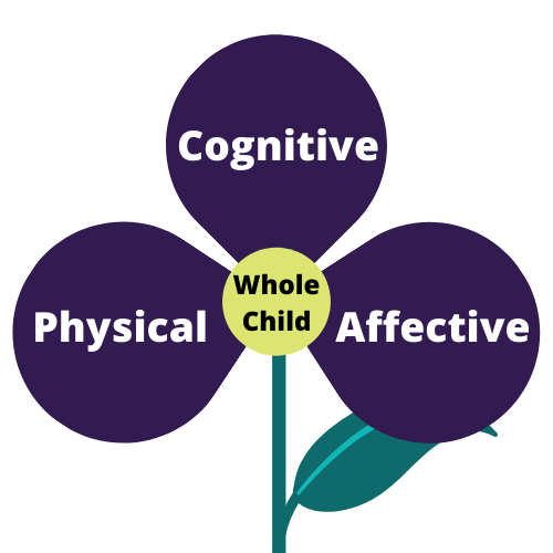 A flower with three petals, the center of the flower says whole child. The petals state physical, cognitive, and affective.