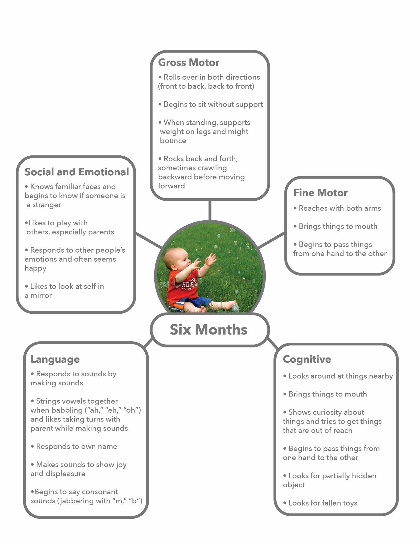 A graphic showing the develomental milestones of a six-month-old