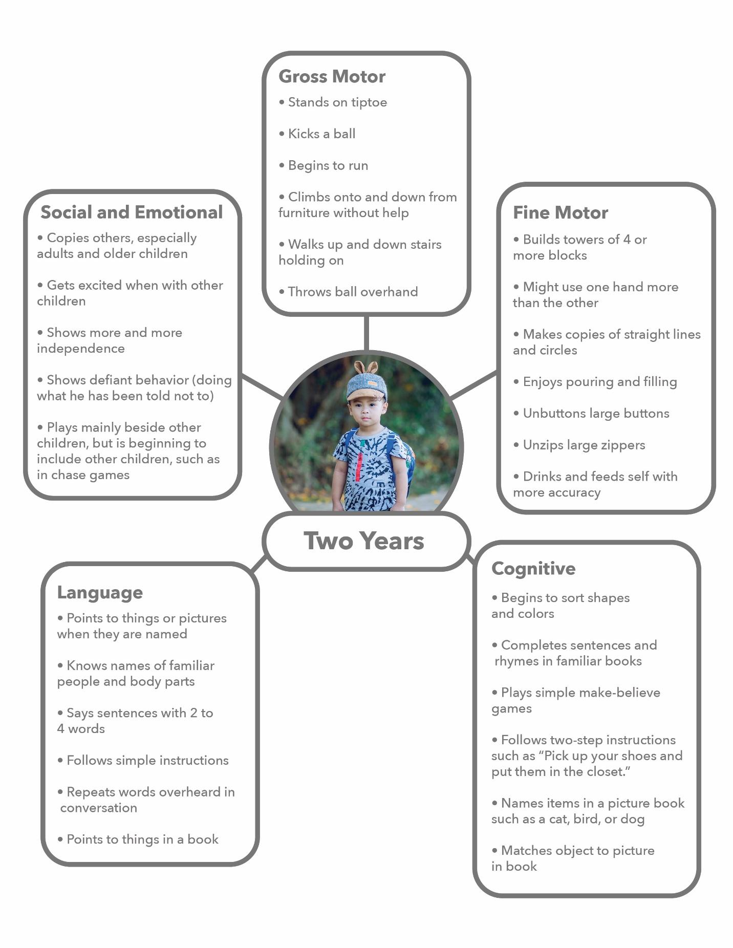 A graphic showing the develomental milestones of a two-year-old