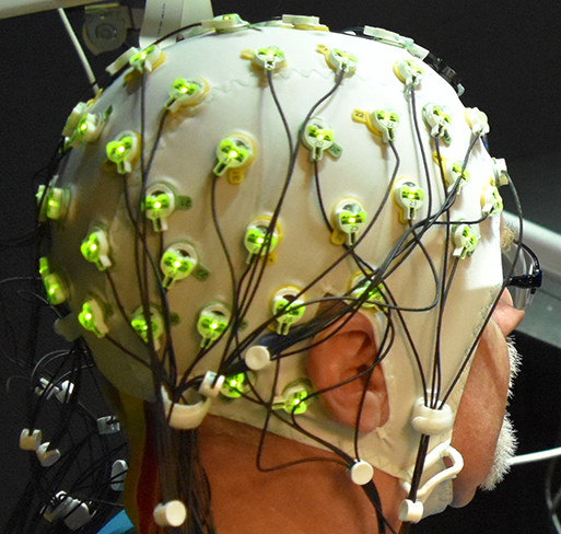 12: Appendix 1: A Very Brief Introduction to EEG and ERPs
