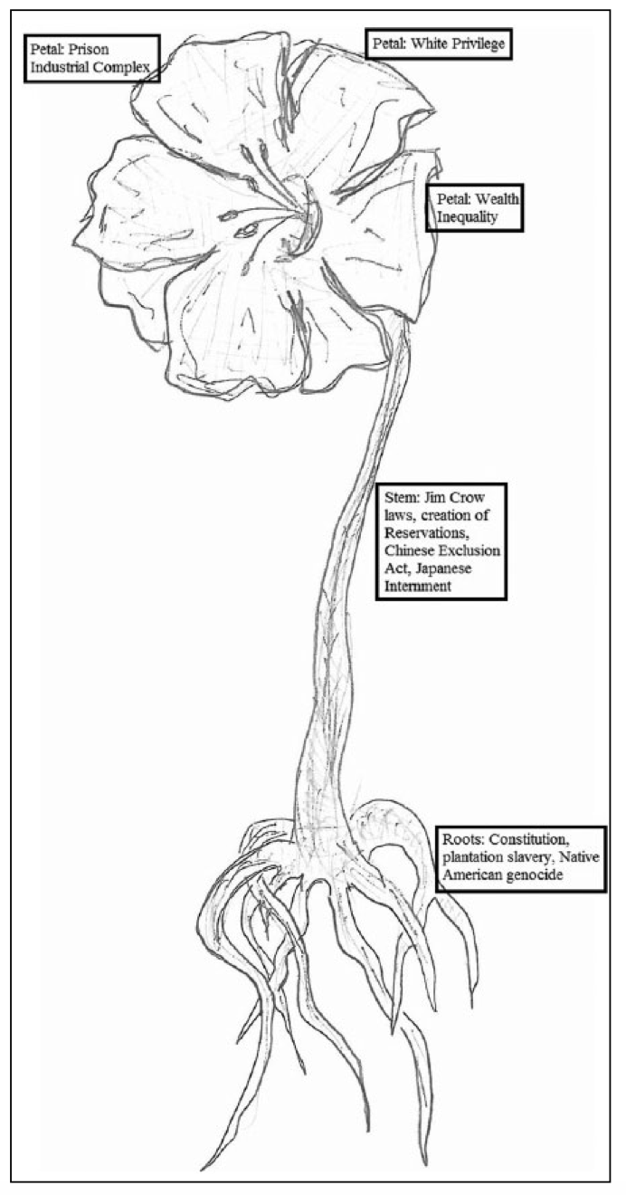 A drawing of a flower.  Strmic-Pawl visualized white supremacy in the form of a flower: the roots or foundation of racism in the U.S. (e.g., slavery or Native American genocide), the stem or historical events and processes (e.g., Chinese Exclusion Act or Jim Crow Laws), and the bloom or contemporary U.S. (anti-Asian hate crimes or police brutality such as the killing of George Floyd). Each petal represents a different form of racial inequality. Though petals may fall off, this loss does not kill the plant (of white supremacy). This is akin to the replacement of slavery with Jim Crow and then the prison industrial complex as a way to control Black men, so eloquently explained in Michelle Alexander's The New Jim Crow.