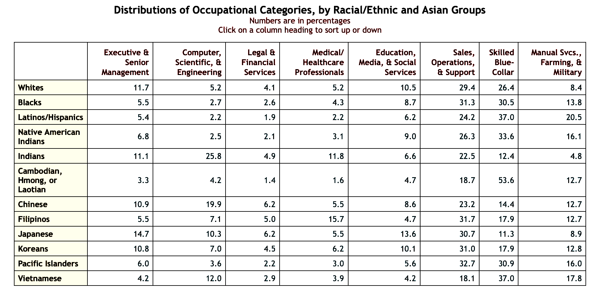 Occupational characteristics by ethnic groups. 