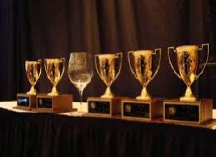 Decorative image of awards