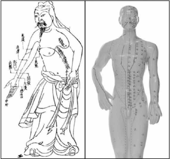 Two acupuncture charts. The one on the left is a Chinese drawing with points labelled in Chinese. The one on the right is a picture of a plastic mannikin with points inked on it