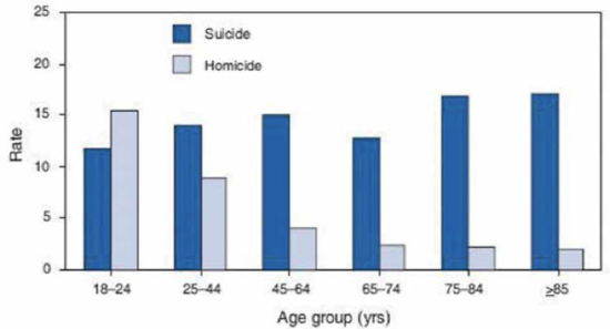 A simple bar graph showing o show the difference between rates of suicides and homicides across various age groups. Date is described in the text.