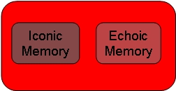 Sensory_Memory.jpg
