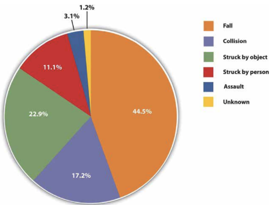 Pie chart showing the cause of concussions in childresn: Fall (44%), Collision (17%), Struck by object (23%), Struck by person (11%), Assault (3%), Unkown (1%)