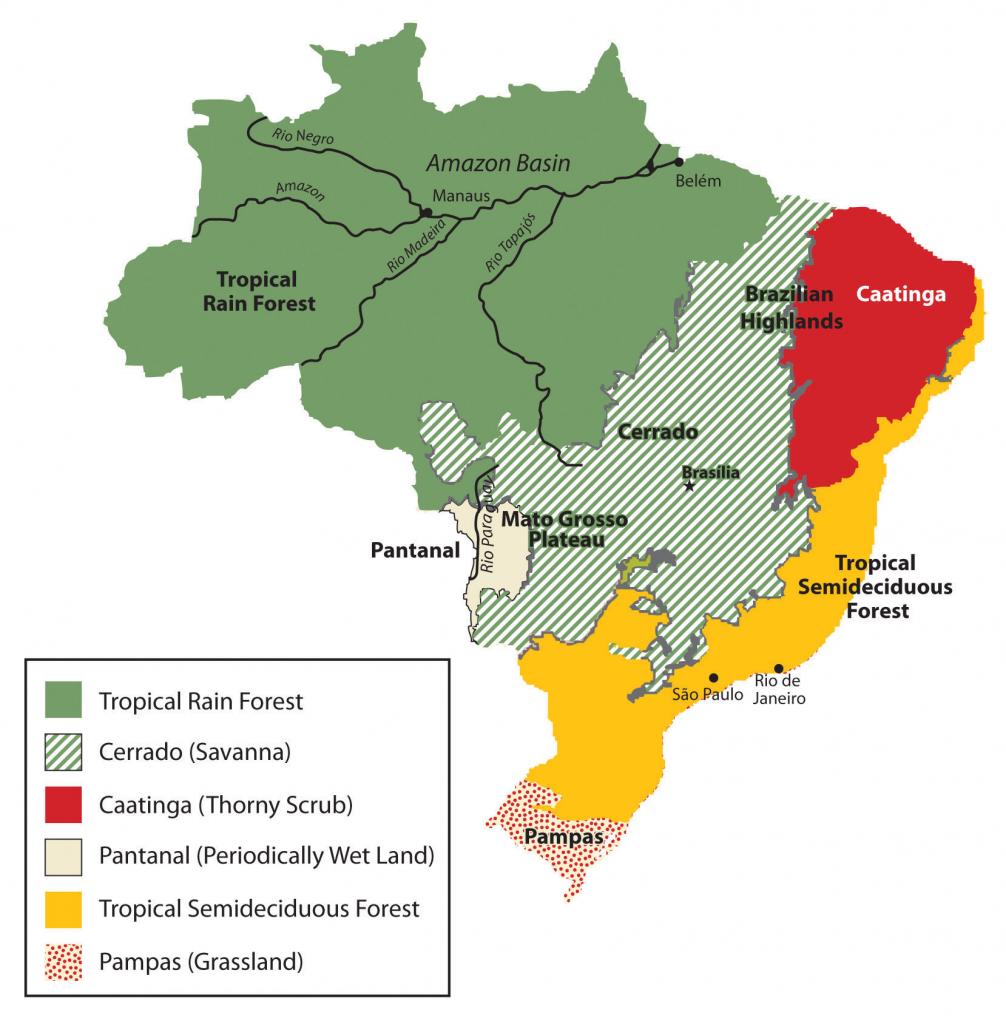 Look at the map given below. The major primary occupations in Brazil are  shown here. Discuss the following points and write your observations in the  notebook. - Geography