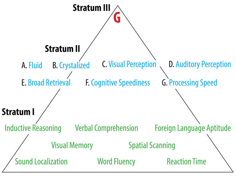 triangle showing components of intelligence at three strata with g, general intelligence, at the top.  See text.