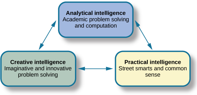 three boxes connected by arrows representing analytical intelligence, creative intelligence, practical intelligence.  See text.