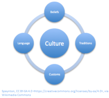1: Culture and Communication