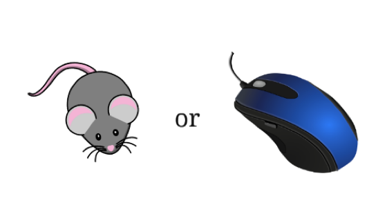 mouse-5.4.2.png