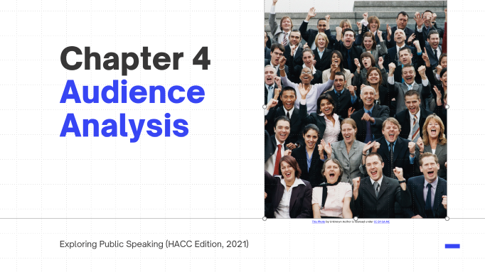 4: Audience Analysis