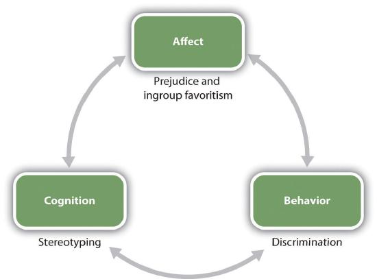 Figure 12.2 Relationships among social groups are influenced by the ABCs of social psychology.