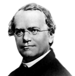 Fotografía en blanco y negro de cabeza y hombros de Gregor Mendel. Ver texto.