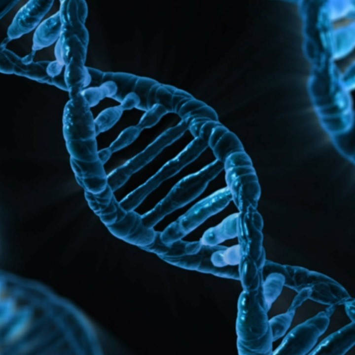 Imagen de ADN generada por computadora que muestra su doble hélice con hebras de conexión tipo escalera entre las dos hélices.