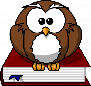 owl-47526_1280-300x283.png