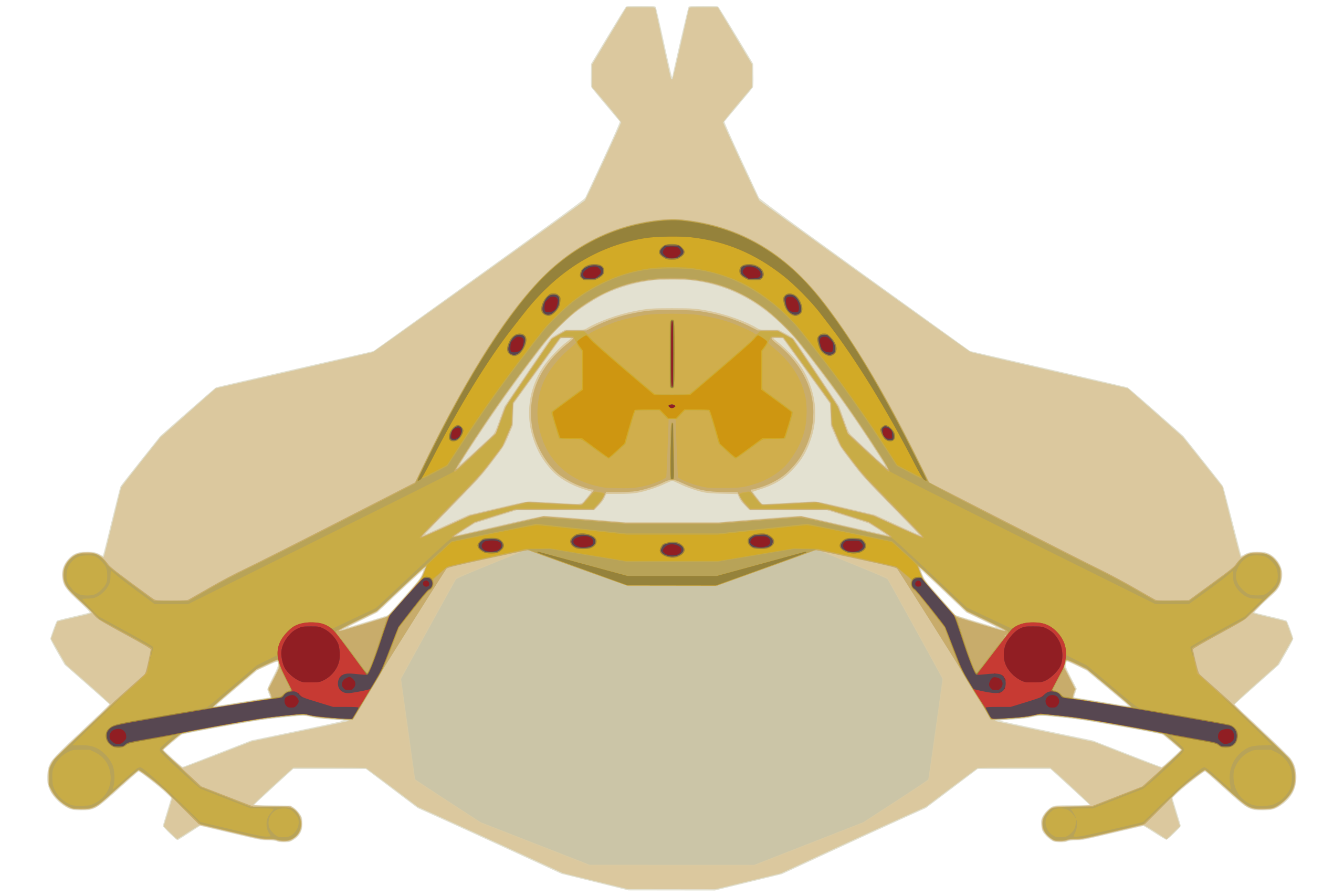 Drawing of a segment of spinal cord surrounded by the vertebra