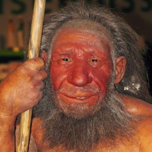 Un modelo de un neandertal.
