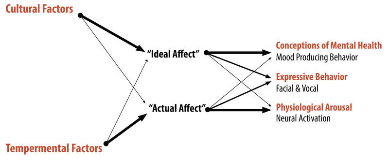 Diagrama de la Teoría de Valoración del Afecto que indica que los factores culturales tienen una mayor influencia en el afecto ideal de una persona y los factores temperamentales tienen una mayor influencia en el afecto real de una persona.
