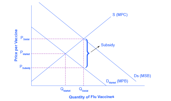 O gráfico mostra o mercado de vacinas contra a gripe: as vacinas contra a gripe serão subproduzidas porque o mercado não reconhece sua externalidade positiva. Se o governo fornecer um subsídio aos consumidores de vacinas contra a gripe, igual ao benefício social marginal menos o benefício privado marginal, o nível de vacinas pode aumentar para a quantidade socialmente ideal de QSocial.