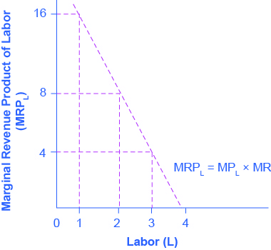 يوضِّح الرسم البياني قيمة منتج الإيرادات الهامشية. المحور السيني هو العمل، وله قيم من 0 إلى 4. المحور y هو منتج الإيرادات الهامشية للعمالة (MRP_L)، وله قيم من 0 إلى 16 بزيادات قدرها 4. يتجه المنحنى نحو الأسفل مع زيادة العمالة. عندما يكون العمل مساويًا لـ 1، تكون قيمة منتج الإيرادات الهامشية للعمالة 16. ولكن عندما يساوي العمل 4، تكون قيمة منتج الإيرادات الهامشية للعمالة قريبة من 0.