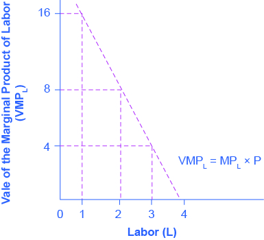 يوضِّح الرسم البياني قيمة المنتج الهامشي للعمالة. المحور السيني هو العمل، وله قيم من 0 إلى 4. المحور y هو قيمة المنتج الهامشي للعمالة، وله قيم من 0 إلى 16 بزيادات قدرها 4. يتجه المنحنى نحو الأسفل مع زيادة العمالة. عندما يكون العمل مساويًا لـ 1، تكون قيمة المنتج الهامشي للعمالة 16. ولكن عندما يساوي العمل 4، تكون قيمة المنتج الهامشي للعمالة قريبة من 0.