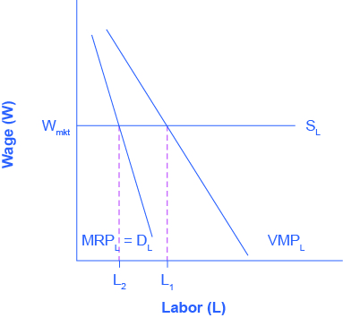 Le graphique montre le produit marginal du travail. L'axe X représente le travail. L'axe Y est Salaire. Une ligne horizontale indiquant les projections salariales du marché à peu près à mi-hauteur de l'axe Y. Deux courbes sont incluses afin de démontrer la différence pour les entreprises puissantes sur le marché. La première courbe représente les entreprises normales et se déplace de droite à gauche dans une direction descendante ; lorsqu'elle croise la ligne horizontale des salaires, elle correspond au point L1. La deuxième courbe, représentant les entreprises puissantes sur le marché, est plus abrupte et croise la ligne des salaires plus tôt (à un niveau d'emploi inférieur), au point L2, où le salaire du marché en vigueur est égal au produit de revenus marginaux de l'entreprise.