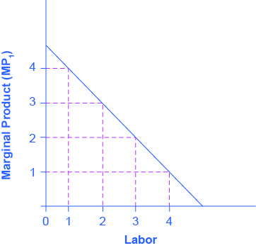 يوضِّح الرسم البياني الناتج الهامشي للعمالة. المحور السيني هو العمل، وله قيم من 0 إلى 4. المحور y هو المنتج الهامشي (MP_1) وله قيم من 0 إلى 4. يتجه المنحنى نحو الأسفل مع زيادة العمالة. عندما يكون العمل مساويًا لـ 1، يكون المنتج الهامشي هو 4. ولكن عندما يساوي العمل 4، يكون الناتج الهامشي هو 1.