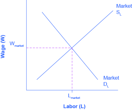 O gráfico compara a demanda e a oferta de mão de obra. O eixo x é Trabalho e o eixo y é Salários. A curva de demanda por mão de obra se inclina para baixo, do canto superior esquerdo para o canto inferior direito. O Supply for Labor se inclina para cima, do canto inferior esquerdo para o canto superior direito. As duas curvas se cruzam no nível de equilíbrio salarial e emprego.