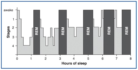 etapa de sueño en el eje y mostrando disminución del tiempo de sueño profundo y ciclos REM que aumentan a medida que avanza el tiempo en el eje x