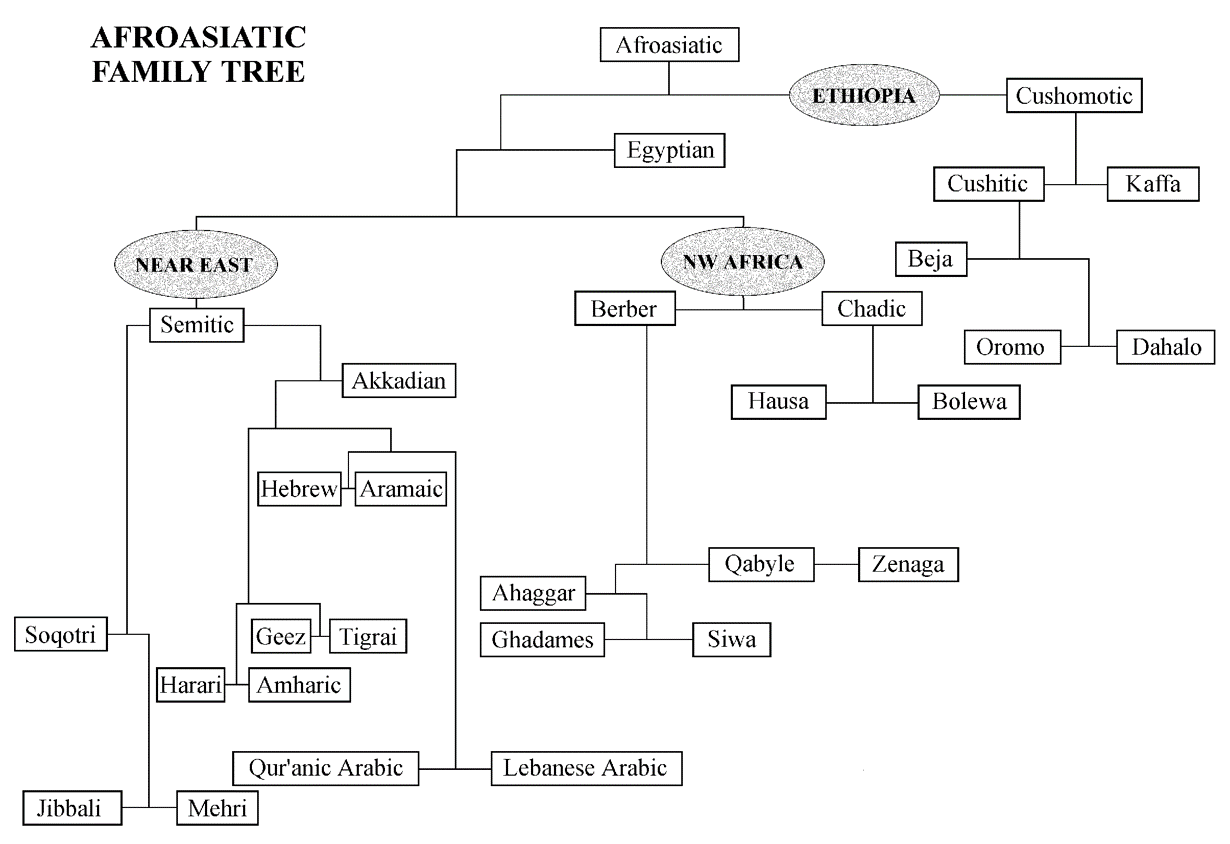 Afro Asiatic Language Family Tree