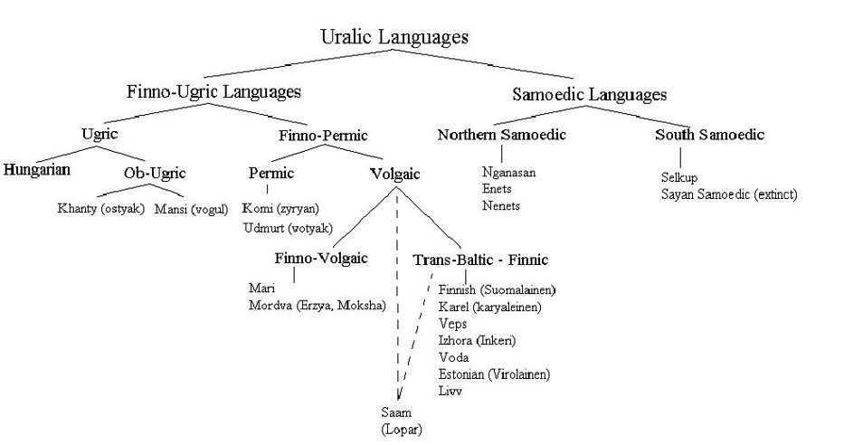 Uralic Language Family Tree