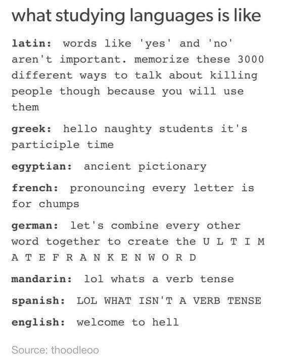 Funny meme about learning different foreign languages